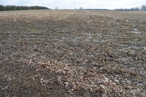 Property photo 21 - 98+/- Acres Offered in 6 Tracts or Combinations, Noble County, Indiana Farm